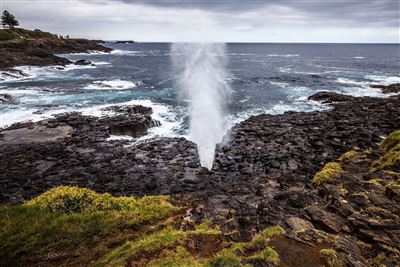 Little Blowhole in Kiama